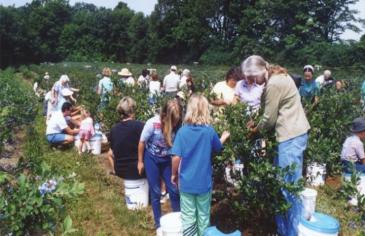 2003_summer_daytrip_sugarshack-690x394.jpg