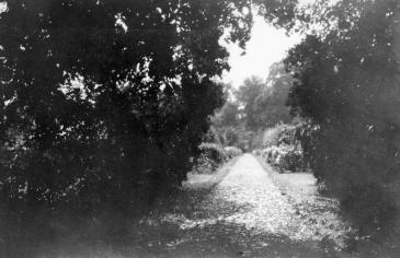 Bellefield-Garden-3-1943.jpg