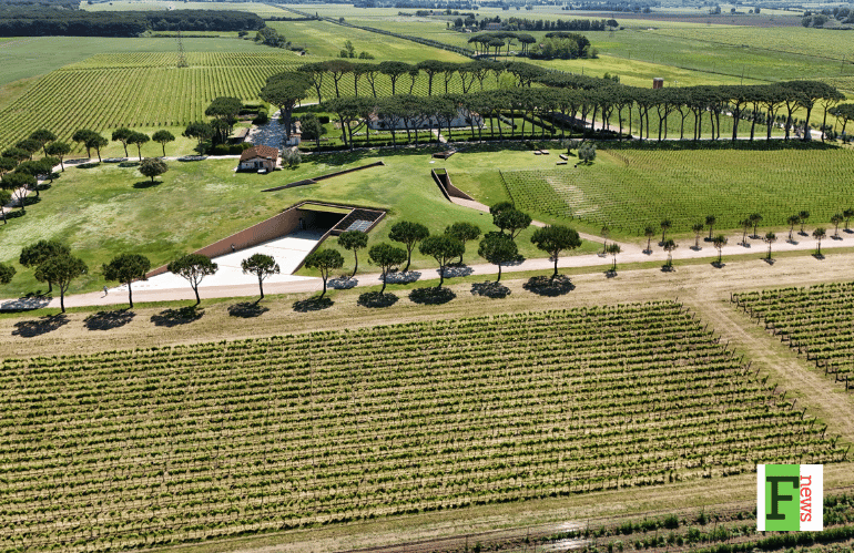 paesaggio viticolo e cantina contemporanea nel territorio del vino