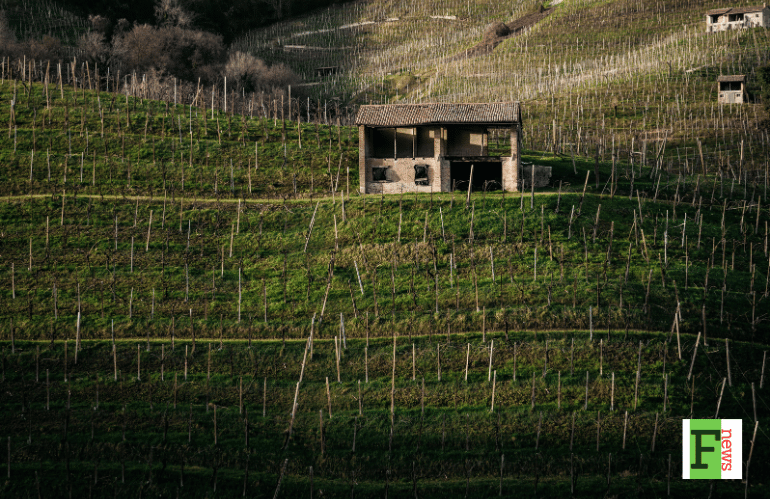 interno di cantina con botti e architettura contemporanea