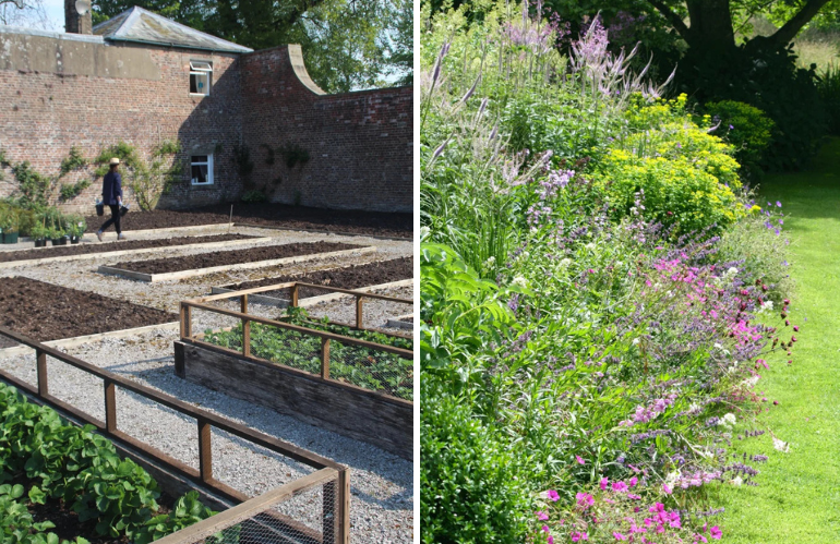 Suolo vivo e biodiversità microbica nei sistemi agricoli