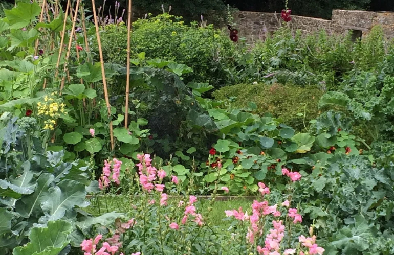 Paesaggi resilienti progettati secondo criteri agronomici