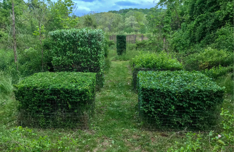 Ritratto di Bob Chaplin