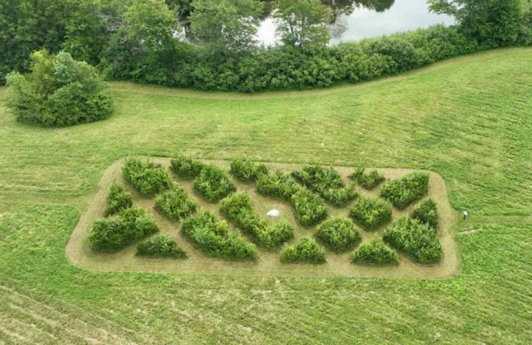 Copertina del libro Eminent Views