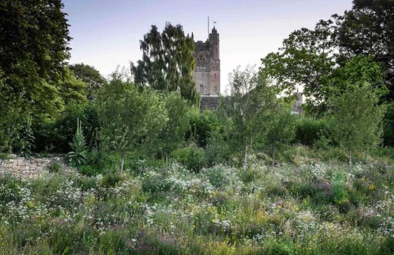 VERSO UNA NUOVA ESTETICA DEL GIARDINO: OLTRE IL NATURALISMO