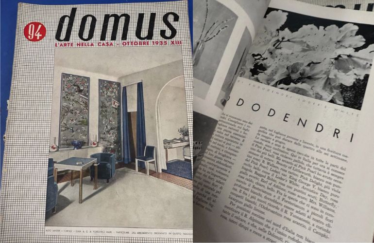 Veduta area progetto EUR