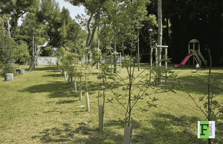 MODENA, ALBERITALIA IL 7 MAGGIO SUL VALORE DEL VERDE URBANO