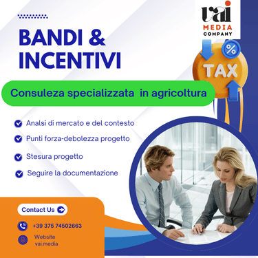 Link facile bandi 3