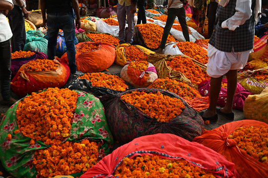 kathmandu flower market