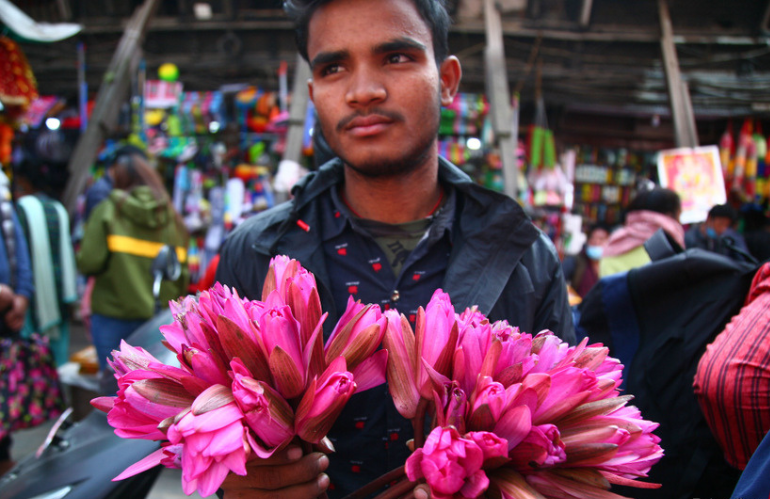 katmandou flowers