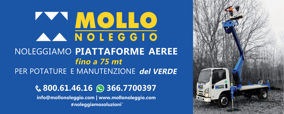 Mollo-572x230-orizzontale-desktop