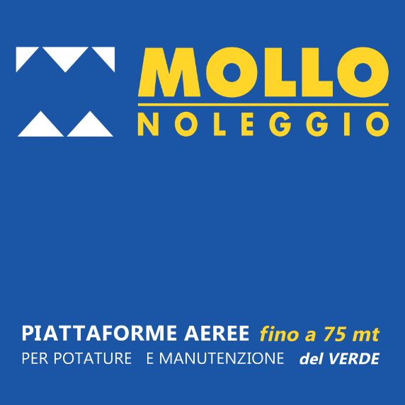 Mollo vivaista 1