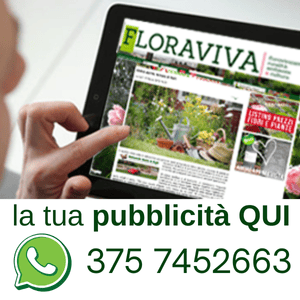 la tua pubblicità qui