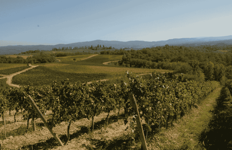 consorzio chianti paesaggio