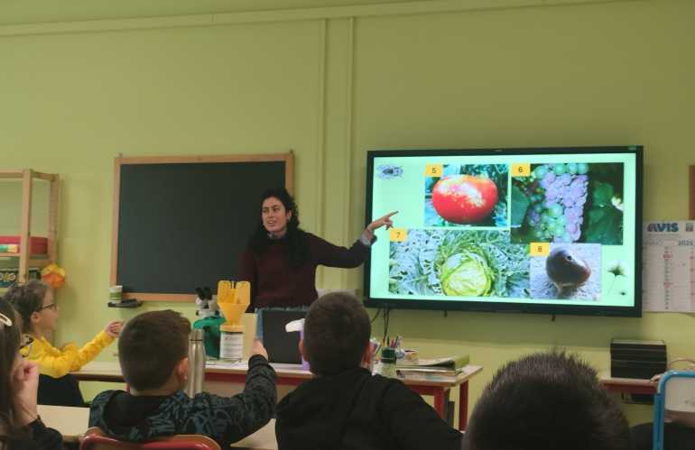 Difesa delle piante: gli organismi utili protagonisti della 5a lezione "dalla terra alla pianta"