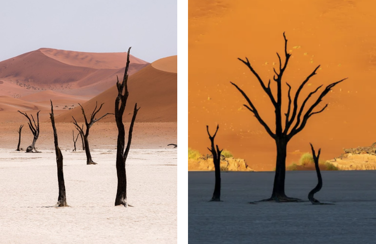 deadvlei_1.png