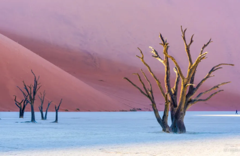 deadvlei_2.png