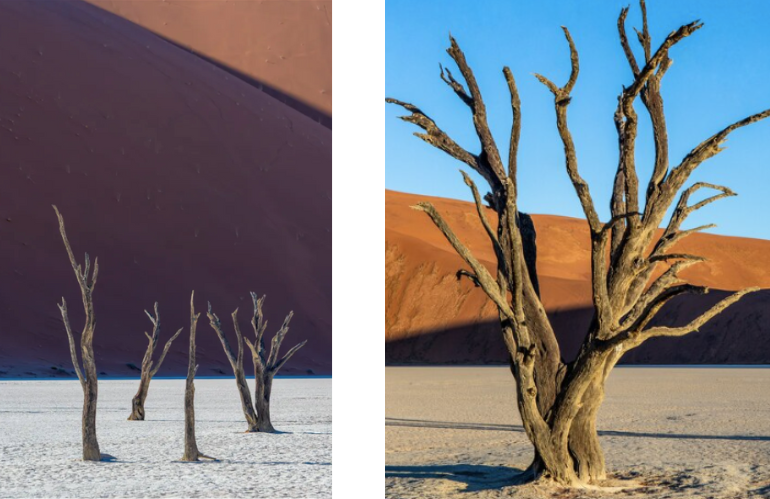 deadvlei_4.png