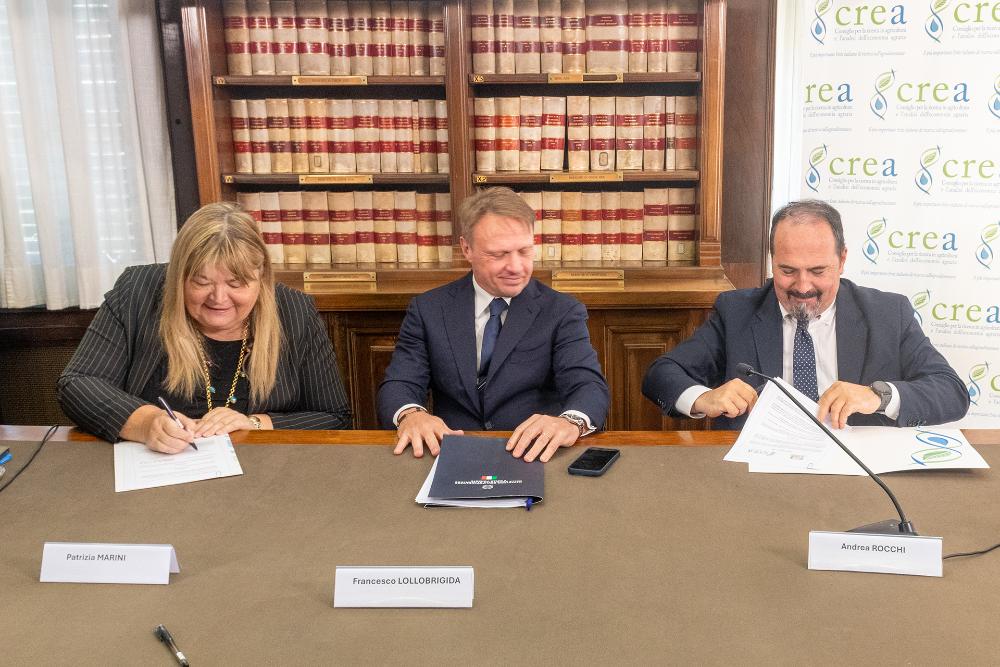 CREA E RE.N.IS.A PER I GIOVANI AGRICOLTORI: NASCE L'AGRIFOOD HUB