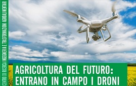 Usi dei droni nel settore agricolo e forestale: webinar del Crea