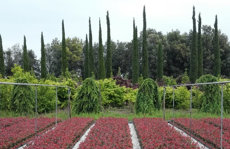Pistoia giardino d'Italia e di biodiversità