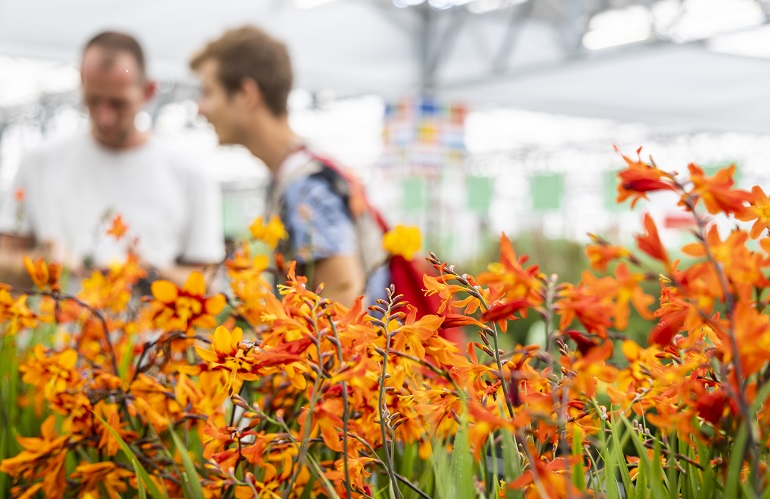 in Olanda l’edizione autunnale 2023 della fiera GROEN-Direkt