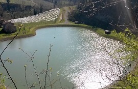 invasi come soluzione rapida alla carenza idrica Confagricoltura Siena