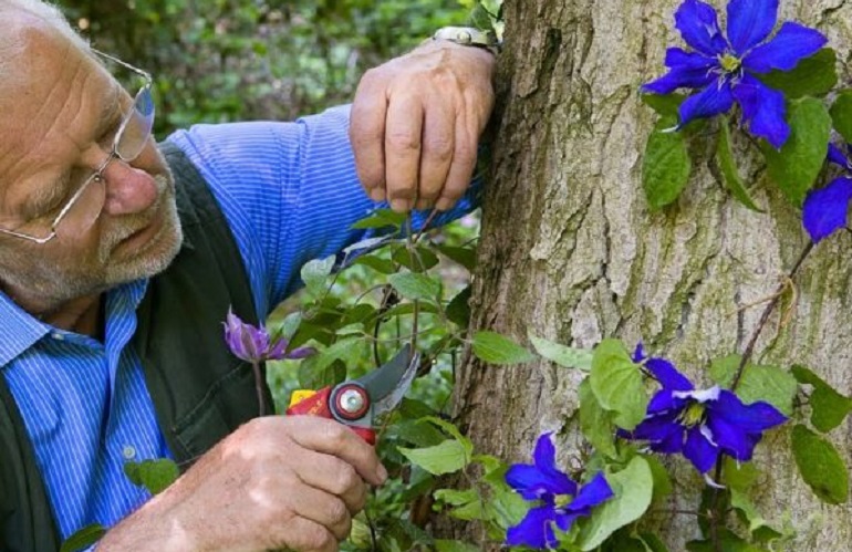 Orizzonte Murabilia webinar verso la mostra mercato del giardinaggio