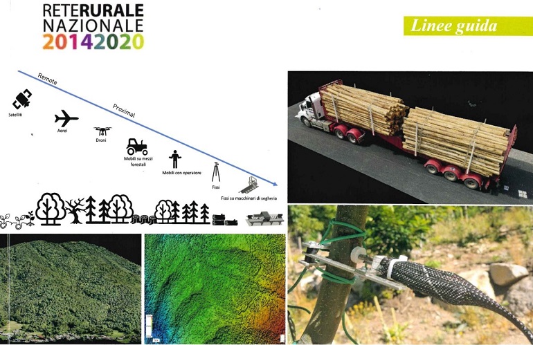 Digitalizzazione del settore forestale in Italia