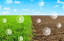 Regolamento su Carbon Farming - Confagricoltura