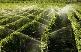 ottimizzare l'uso dell'acqua in agricoltura
