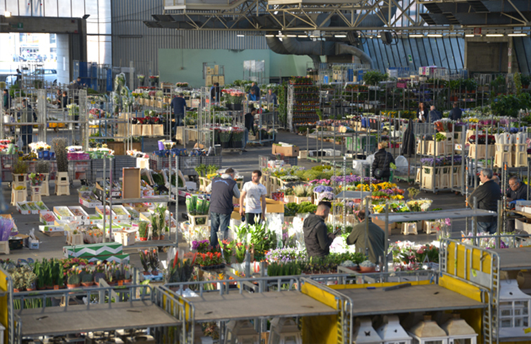 Mercato dei fiori di Pescia