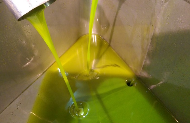 Olio di oliva versato