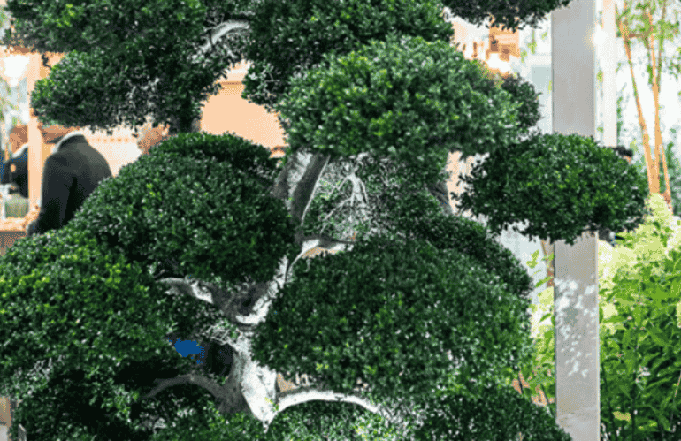 greenitaly