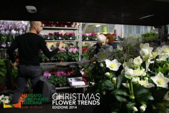 Espositori Christmas Flower Trends 2014_12