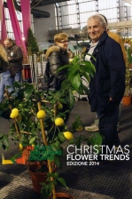 Christmas Flower Trends 2014