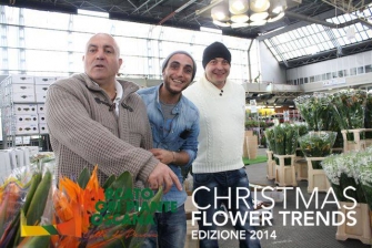 Espositori Christmas Flower Trends 2014_29