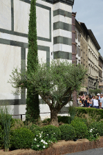 Inaugurazione delle installazioni Green al G20 di Firenze