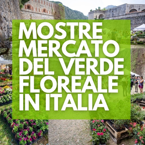 native_mostre_mercato_del_verde_floreale.jpg