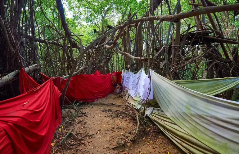 UN ALBERO PER MAHATSINJO: IL FICUS SACRO DI NOSY BE