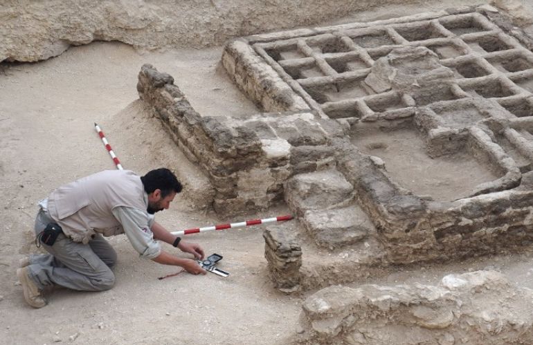 Dettaglio degli elementi vegetali rinvenuti nel giardino: semi, frutti, radici