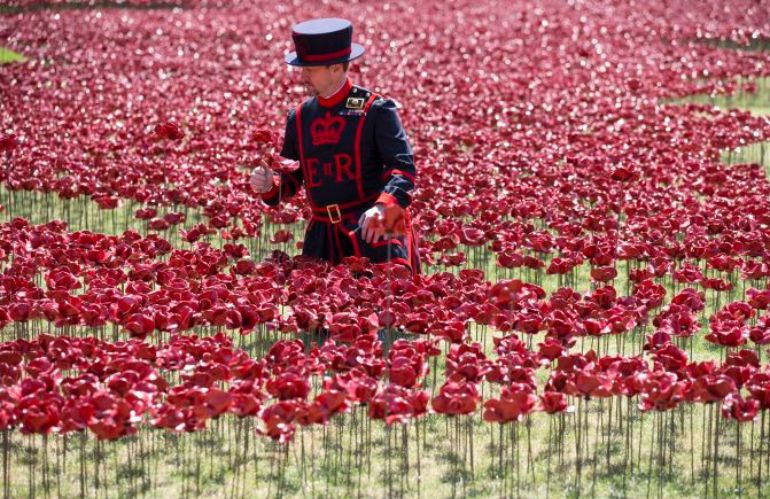 Installazione artistica dei papaveri alla Torre di Londra