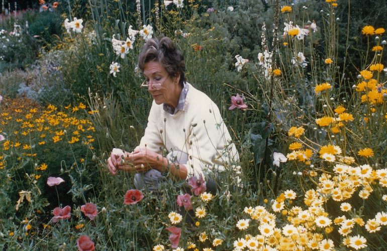 Beth Chatto: un'icona del giardinaggio sostenibile
