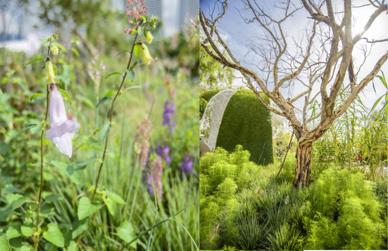 Visione contemporanea del paesaggio secondo Leon Kluge, tra arte e natura