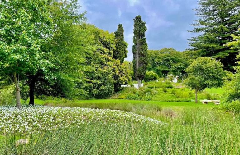 Una delle più recenti realizzazioni del paesaggista sudafricano Leon Kluge