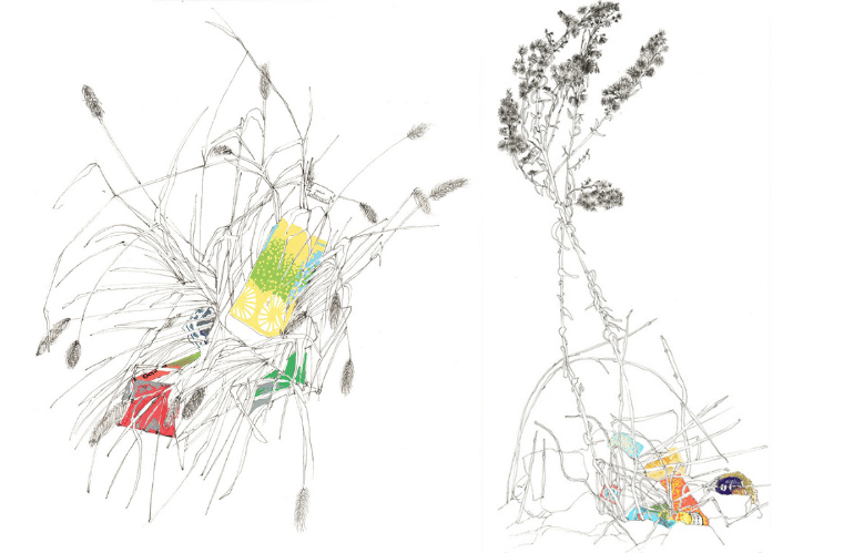 disegno lise duclaux