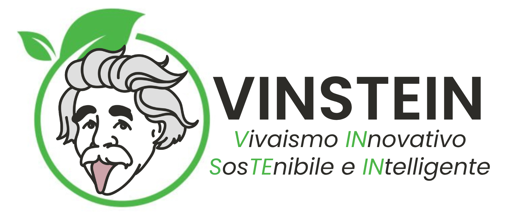Logo VINSTEIN 2