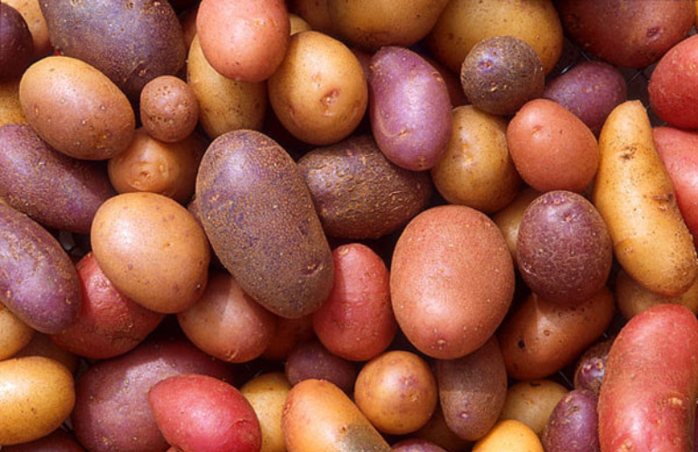 PATATE MIX