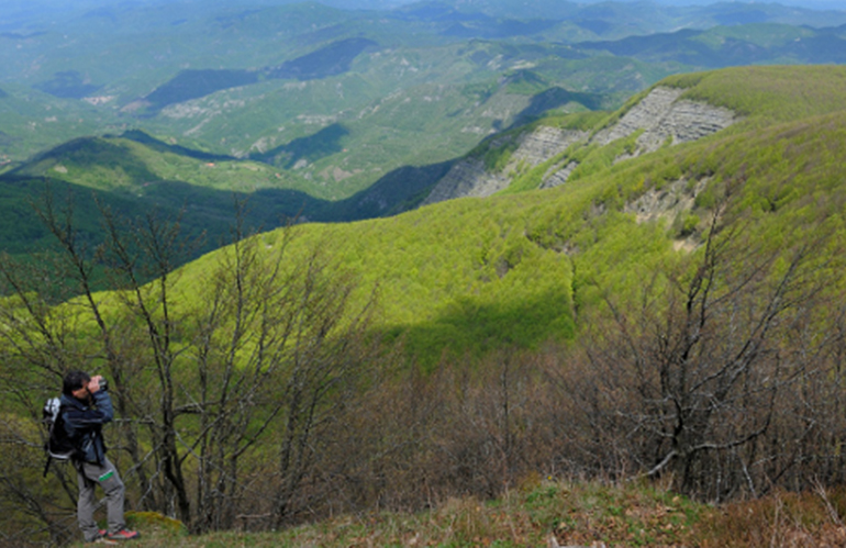 In arrivo 7,2 mln per la gestione del patrimonio forestale in Toscana