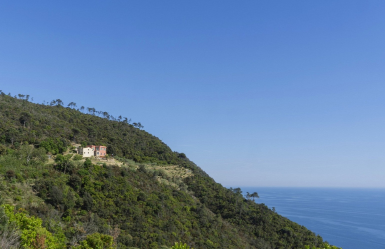 Podere Lovara Punta Mesco SP Foto Davide Marcesini 2025 FAI Fondo per lAmbiente Italiano